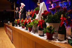 TSA-Ball-2022-0007